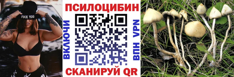 Купить где  Усинск  Псилоцибиновые грибы Psilocybe